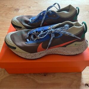 Nike Men’s Pegasus Trail 3 GTX Gore-Tex trail running shoes.